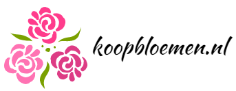 koopbloemen.nl